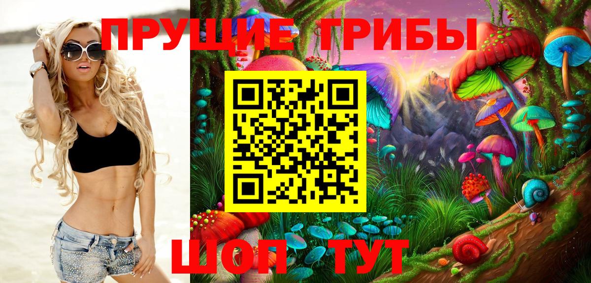 Псилоцибиновые грибы GOLDEN TEACHER Наро-Фоминск